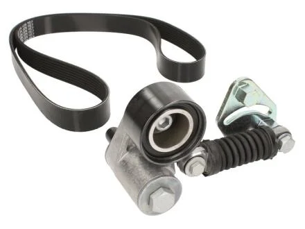 - Комплект ременя поліклинового DAYCO KPV035HD (фото 1)