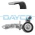 Комплект доріжкових пасків DAYCO KPV498 (фото 1)
