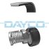 Комплект доріжкових пасків DAYCO KPV717 (фото 1)