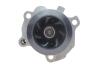 Комплект ГРМ (+ помпа) Caddy 1.9 SDI/TDI 95-04 DAYCO KTBWP4290 (фото 7)