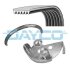 Комплект поликлинового ремня FORD FOCUS 2 04- 1.3/1.6 -AC DAYCO PVE002 (фото 1)