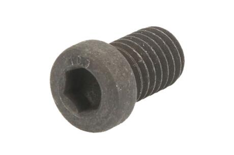 Болти кріплення гальм. дисків Delphi BGK011