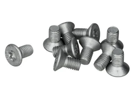 Винт MINI креп.торм.диска (в упак. 10 шт.) Delphi BGK012