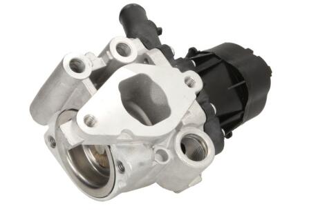 Клапан EGR Delphi EG10482-12B1
