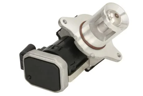 Клапан рециркуляцiї Delphi EG10487-12B1