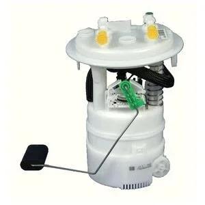 Електричний паливний насос Delphi FG1012-12B1