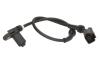 Датчик ABS передн Лів/Прав FORD GALAXY I, GALAXY MK I SEAT ALHAMBRA VW SHARAN 1.8-2.8 03.95-03.10 Delphi SS20020 (фото 1)