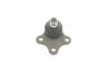 Шарова опора Лів/Прав (передн) (діаметр конуса 18mm) FORD MONDEO I, MONDEO II 1.6-2.5 01.93-09.00 Delphi TC528 (фото 5)