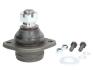 Шарова опора Лів (нижн задн) LAND ROVER 90 I, DEFENDER, DISCOVERY I, RANGE ROVER I 2.0-4.3 07.70-02.16 Delphi TC584 (фото 1)