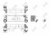 Iнтеркулер BMW (F16/F86)/ X5 (E70/F15/F85)/X6 (E71/E72) 2.0D/3.0D 07- DEPO 004-018-0009 (фото 1)