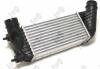 Iнтеркулер Citroen Jumper/Fiat Scudo/Peugeot Expert 1.6/2.0/2.2D 06- DEPO 009-018-0002 (фото 2)
