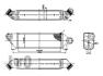 Iнтеркулер Ford Transit 2.0 DI 00-06 DEPO 017-018-0006 (фото 1)