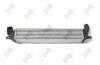 Iнтеркулер Renault Laguna III 2.0DCi 07-15 DEPO 042-018-0005 (фото 2)