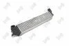 Iнтеркулер Renault Laguna III 2.0DCi 07-15 DEPO 042-018-0005 (фото 3)