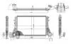 Iнтеркулер VW Caddy III 1.9 TDI 04-10 DEPO 053-018-0003 (фото 1)