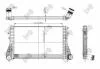 Радіатор інтеркулера а PASSAT/TIGUAN 1.4-2.0 05- DEPO 053-018-0013 (фото 1)