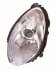 Фара автомобільна DEPO 440-1157LMLD-EM (фото 1)