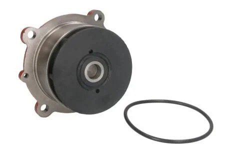 Насос водяний DOLZ D301