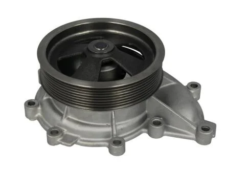 Насос водяний DOLZ E117