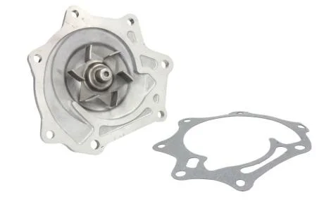 Насос водяний DOLZ N145