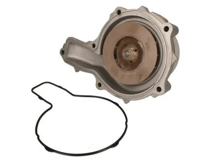 Насос водяний DOLZ R612