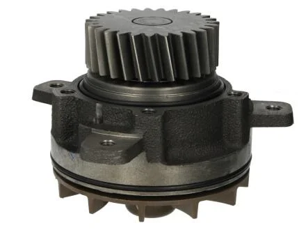 Насос водяний DOLZ V207