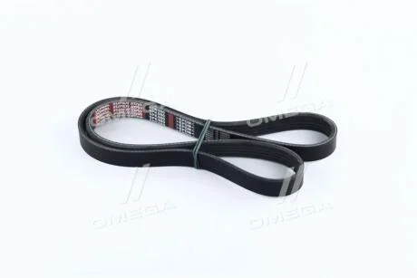 Ремінь поліклін. Dongil 5PK980