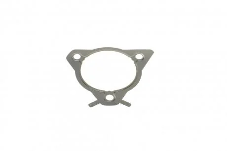 Прокладка насоса топливного Ford Connect 1.8Di/TDCI 02- DP Group ES 21417 ARI