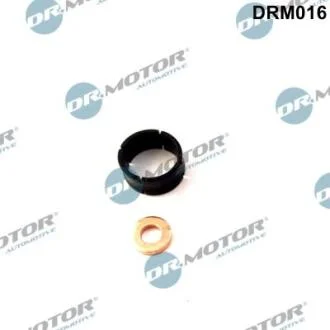 Ремкомплект форсунки 2 елементи DR.MOTOR DRM-016