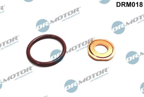 Ремкомплект форсунки 2 елементи DR.MOTOR DRM-018