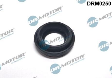 Сальник форсунки DR.MOTOR DRM0250