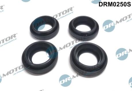 Комплект прокладок гумових DR.MOTOR DRM-0250S