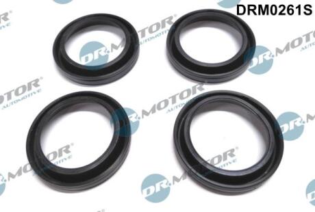 К-кт прокладок паливної форсунки Mazda 6 2.0DI 02-07 DR.MOTOR DRM0261S