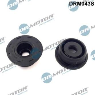 Сальник, к-т 2 елементи DR.MOTOR DRM-043S