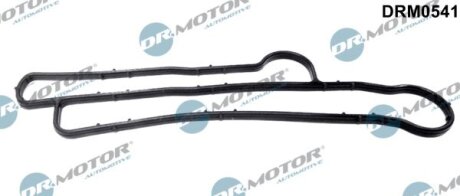 Прокладка маслянного радиатора, F.Tr. V-184, 2.4 DI / TDCI, 2000> DR.MOTOR DRM0541