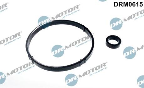 Комплект прокладок впускного колектора 2 елементи DR.MOTOR DRM-0615
