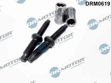 Ремкомплект, корпус форсунки 4 елементи DR.MOTOR DRM0619