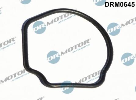Прокладка, корпус термостата DR.MOTOR DRM0645