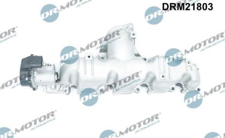 Колектор впускний з регулюючим елементом DR.MOTOR DRM21803