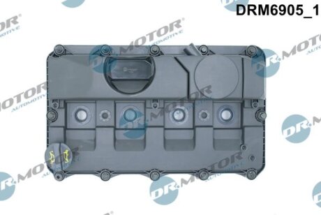 Кришка головки блоку циліндрів ДВЗ DR.MOTOR DRM6905 (фото 1)