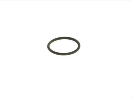 Уплотнительное кольцо DT 1.10173