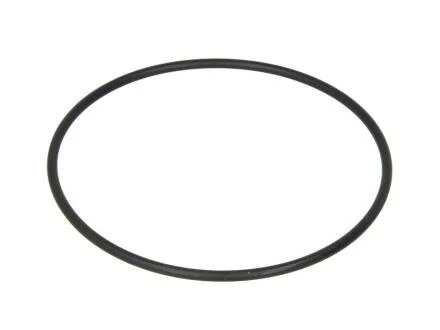 Кільця ущільнюючі / КОЛЬЦО УПЛ. МАСЛЯНОГО ФИЛЬТРА SCANIA 108X3.5 (372984) DT 1.10215