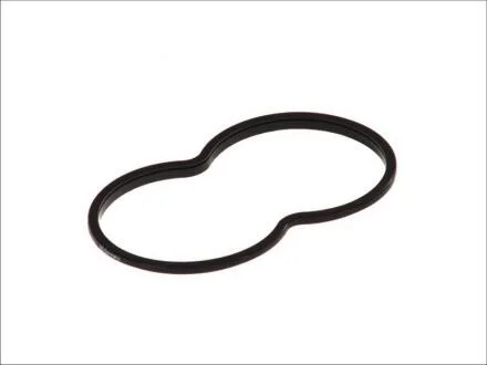 Прокладка термостату DT 1.24111