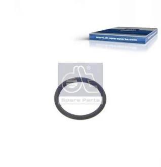 Ущільнювальне кільце DT 1.24313