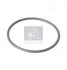 Ущільнювальне кільце DT 1.24315 (фото 2)