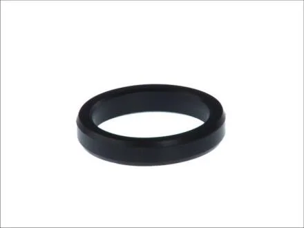 Прокладка, маслянный радиатор DT 2.11424