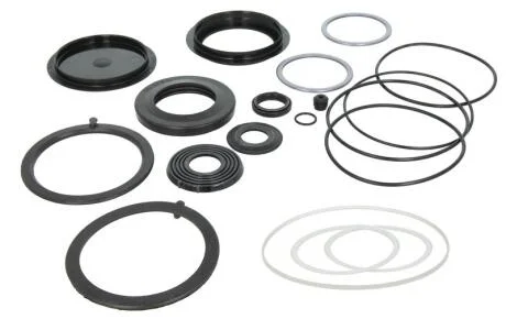 КОМПЛЕКТ САЛЬНИКІВ / РЕМКОМПЛЕКТ ГУР VOLVO, TAS/THP 60 DT 2.95119