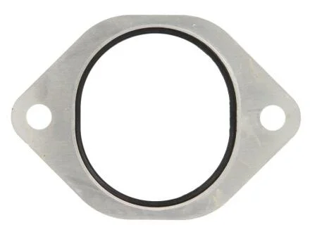 Прокладка турбіни DT 4.20449