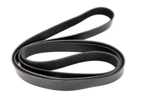 Дорiжковий ремінь DT 4.81019