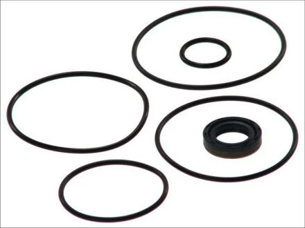 КОМПЛЕКТ САЛЬНИКІВ / РЕМКОМПЛЕКТ НАСОСА ГИДРОУСИЛИТЕЛЯ MB (000 586 2846) DT 4.90064